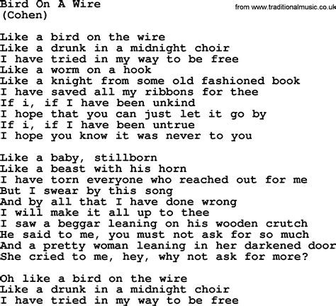 bird in a wire song